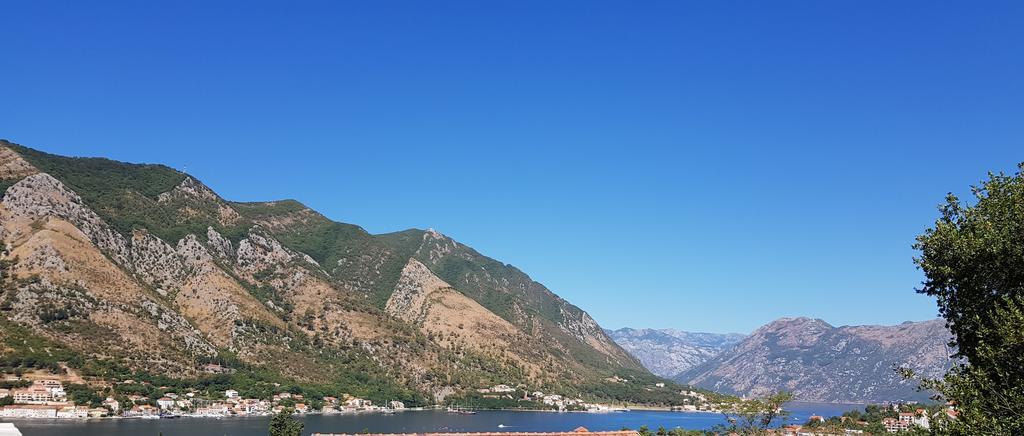 Apartments Lazarevic Kotor Extérieur photo